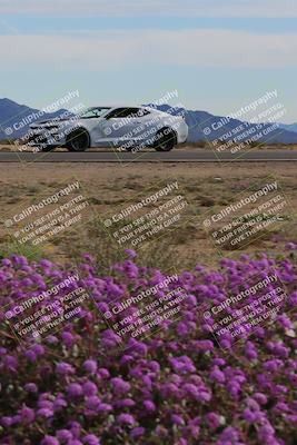 media/Jan-08-2023-SCCA SD (Sun) [[8f6a5b9391]]/Advanced Group/Session 2 (Short Straight)/